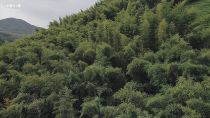 Column Small Side Table