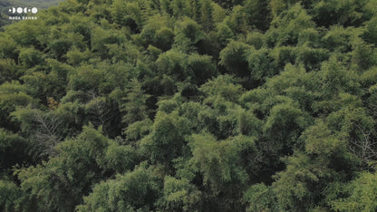 Round Lace Side Table