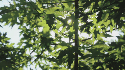 26.4" Vintage Metal Side Table with Open Storage Shelf – Industrial End Table, Sturdy for Use as Coffee Table or Nightstand