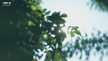 Round Multi-tier Circle Side Table